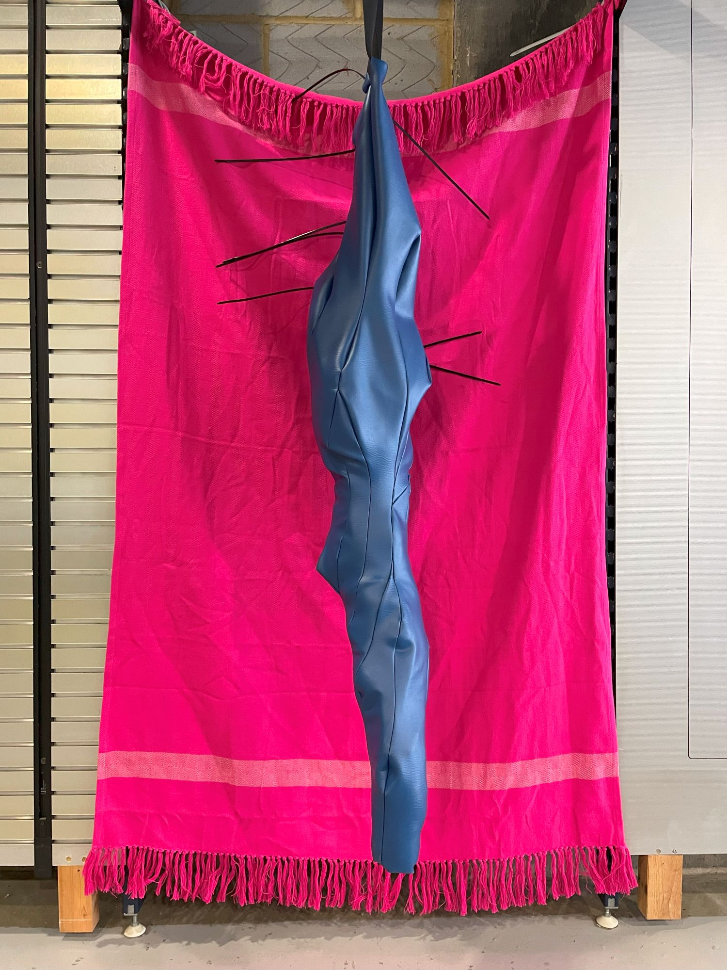 Leg