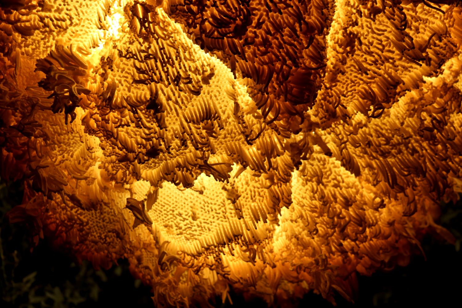 Fancy. Expanding Foam Chandelier.