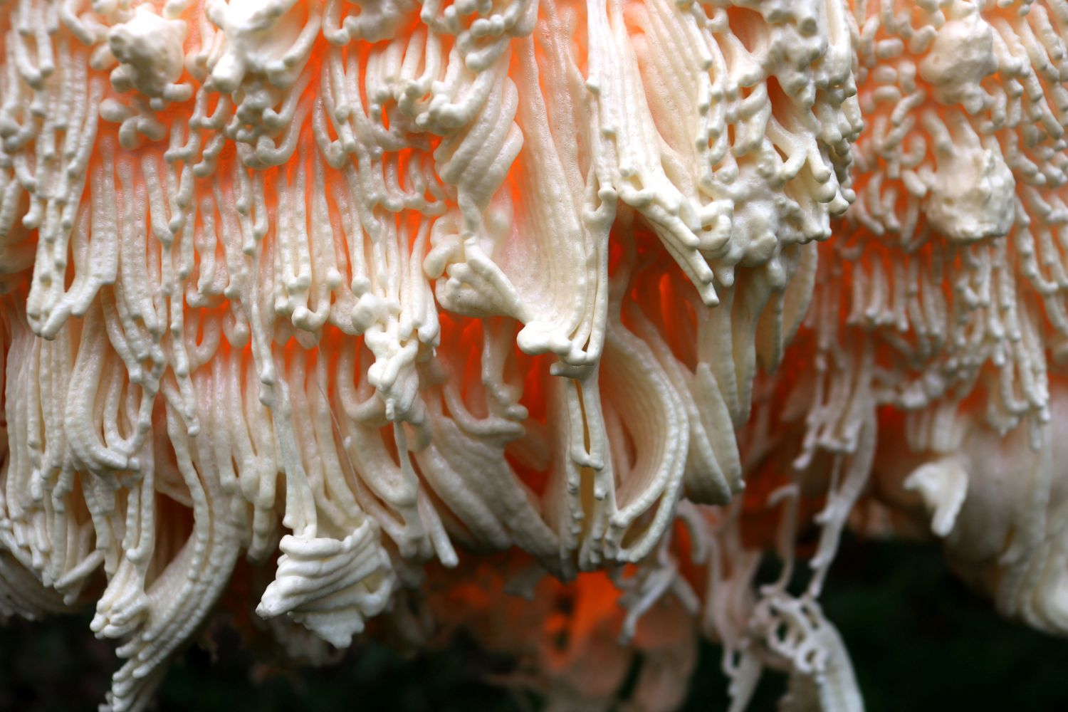 Fancy. Expanding Foam Chandelier.