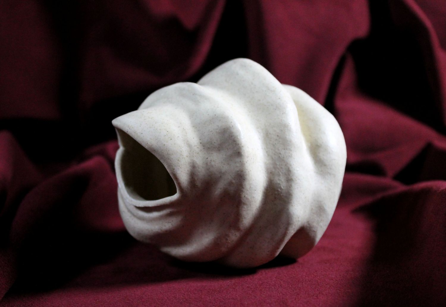 Lid