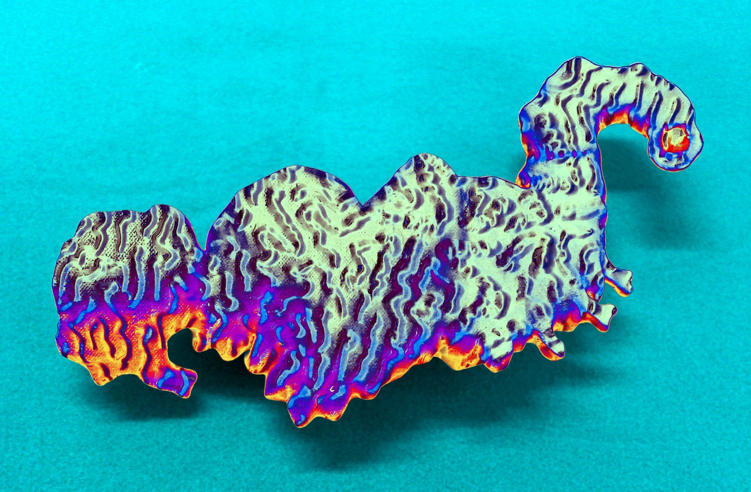 Spine Tube Layering